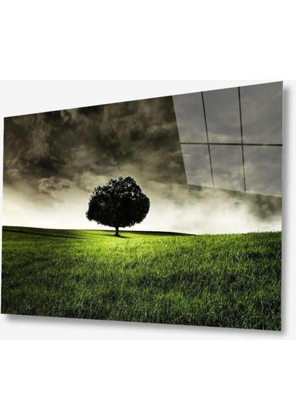 Doğa Cam Tablo 4mm Dayanıklı Temperli Cam