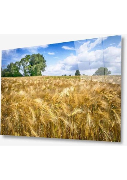 Doğa Cam Tablo 4mm Dayanıklı Temperli Cam