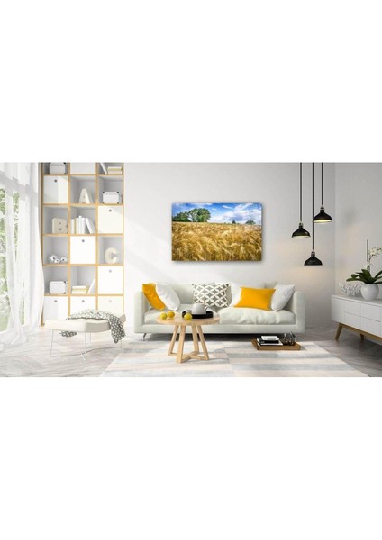 Doğa Cam Tablo 4mm Dayanıklı Temperli Cam fiyatları