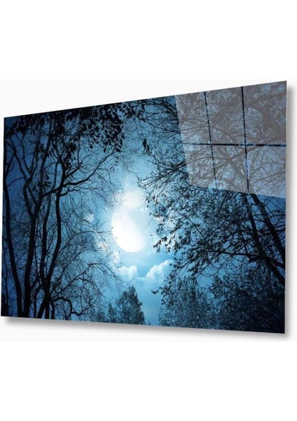 Doğa Cam Tablo 4mm Dayanıklı Temperli Cam