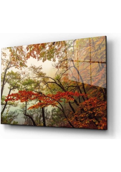 Doğa Temperli Cam Tablo