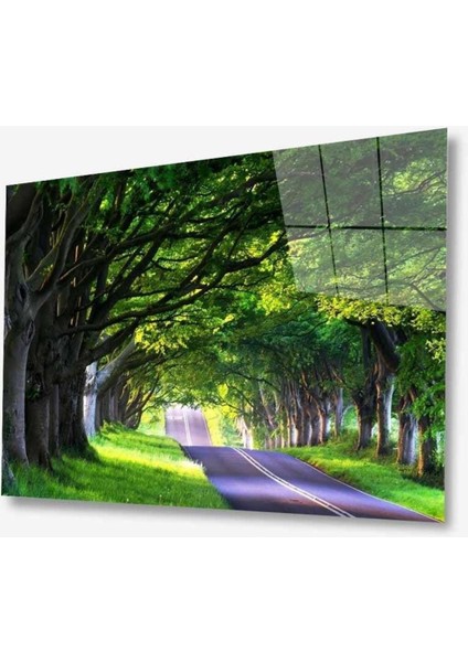 Doğa Cam Tablo 4mm Dayanıklı Temperli Cam