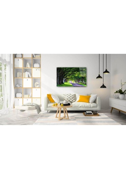 Doğa Cam Tablo 4mm Dayanıklı Temperli Cam fiyatları