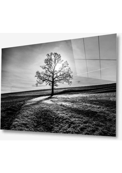 Doğa Cam Tablo 4mm Dayanıklı Temperli Cam