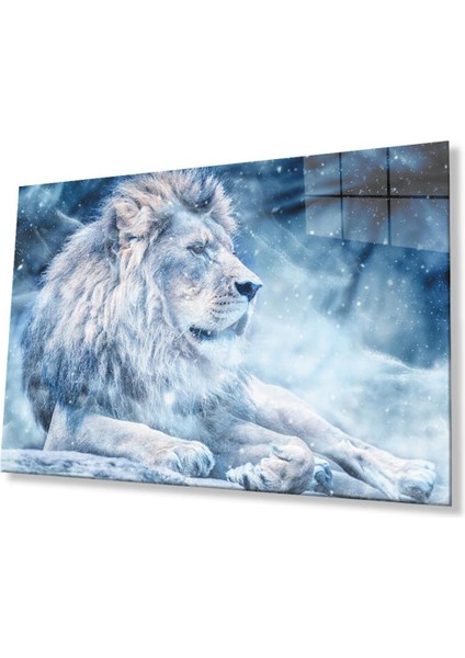 Aslan Cam Tablo 4mm Dayanıklı Temperli Cam