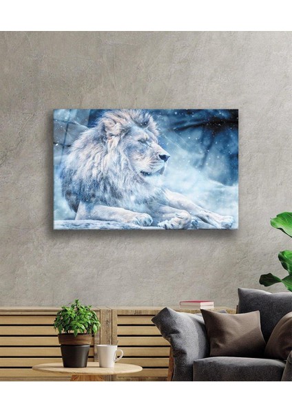 Aslan Cam Tablo 4mm Dayanıklı Temperli Cam fiyatları