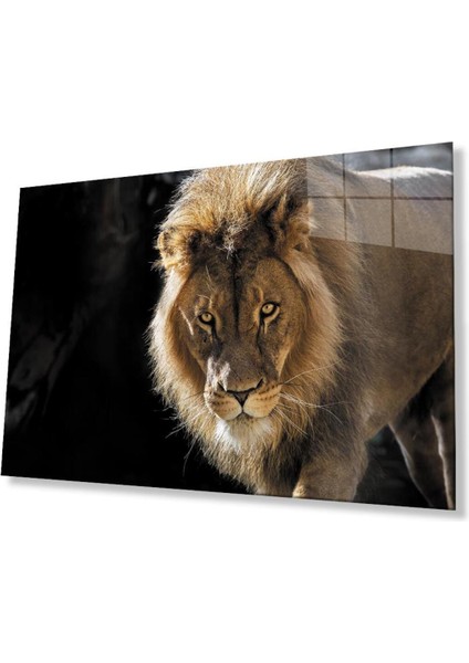 Aslan Cam Tablo 4mm Dayanıklı Temperli Cam