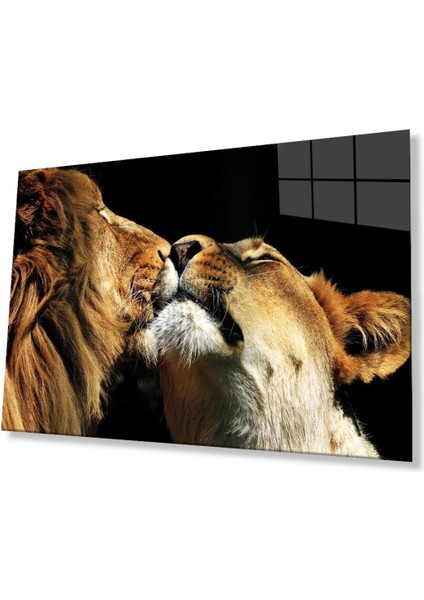 Aslan Cam Tablo 4mm Dayanıklı Temperli Cam