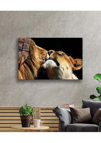 Aslan Cam Tablo 4mm Dayanıklı Temperli Cam fiyatları