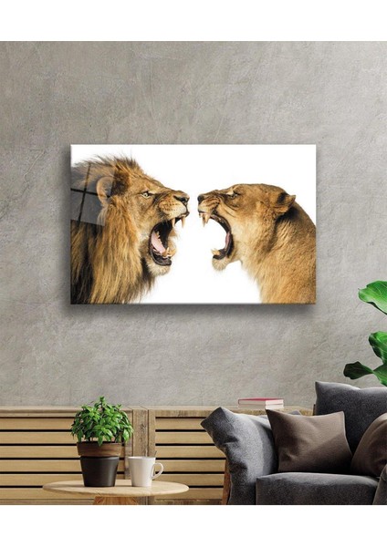 Aslan Cam Tablo 4mm Dayanıklı Temperli Cam fiyatları