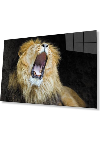 Aslan Cam Tablo 4mm Dayanıklı Temperli Cam