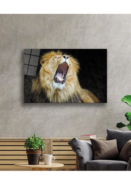 Aslan Cam Tablo 4mm Dayanıklı Temperli Cam fiyatları