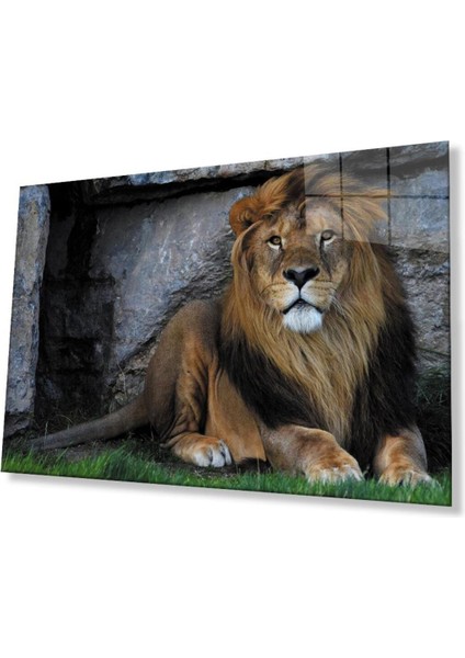 Aslan Cam Tablo 4mm Dayanıklı Temperli Cam