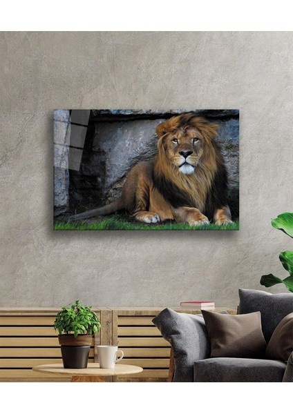 Aslan Cam Tablo 4mm Dayanıklı Temperli Cam fiyatları