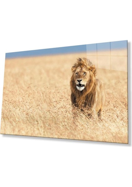 Aslan Cam Tablo 4mm Dayanıklı Temperli Cam