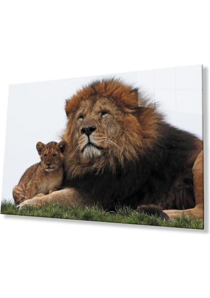 Aslan Cam Tablo 4mm Dayanıklı Temperli Cam
