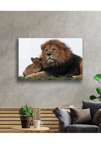 Aslan Cam Tablo 4mm Dayanıklı Temperli Cam fiyatları