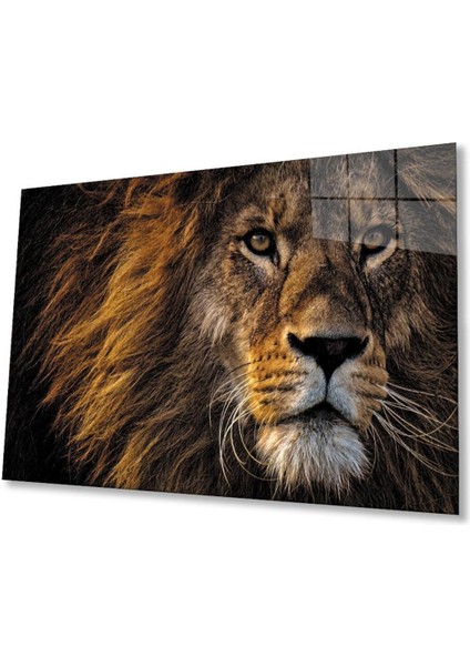 Aslan Cam Tablo