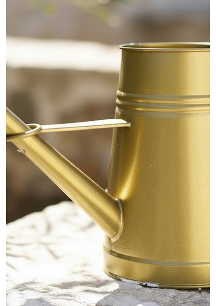 Stella 3 Litre Metal Çiçek Bahçe Sulama Kabı Altın - Modern Dekoratif Çok Amaçlı Sulak