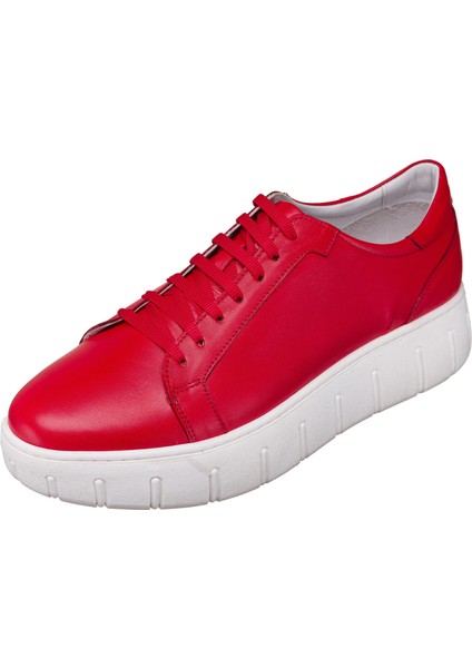 45 -46 - 47 - 48 - 49 - 50 Büyük Numara Günlük & Spor & Yazlık & Kışlık Ayakkabı