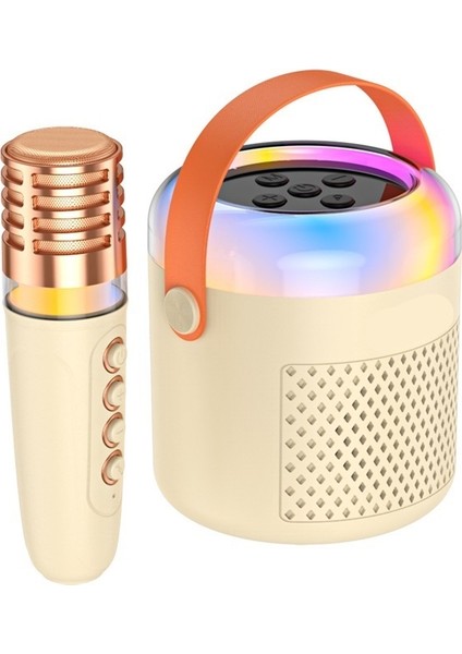 Çift Mikrofon Hoparlör Entegre Kablosuz Mikrofon Karaoke Bluetooth Hoparlör Ev Ktv Küçük Hoparlör Seti (Yurt Dışından)