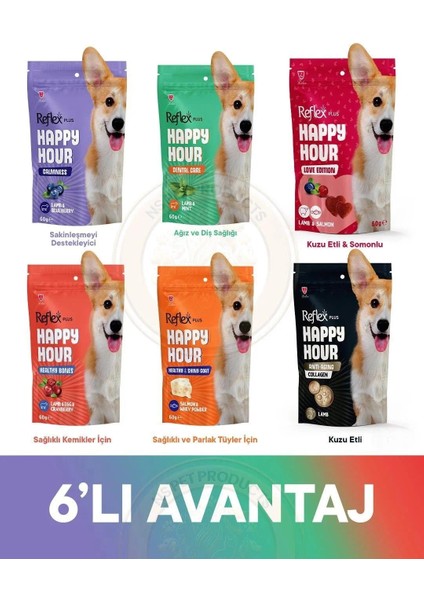 Happy Hour 6lı Hepsi Bir Arada Köpek 6X60GR