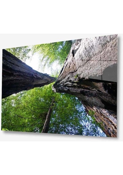 Doğa Cam Tablo 4mm Dayanıklı Temperli Cam