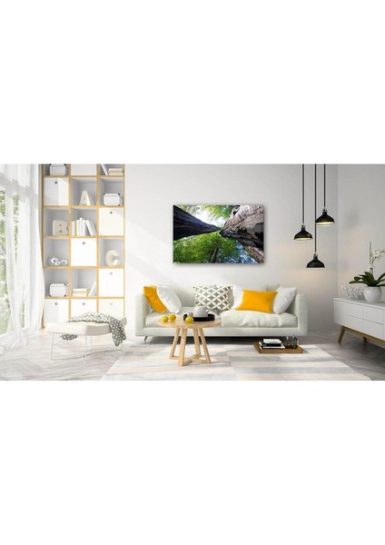 Doğa Cam Tablo 4mm Dayanıklı Temperli Cam fiyatları