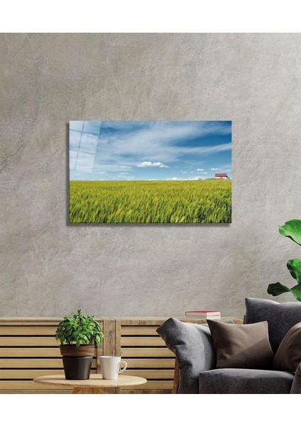 Çimen Cam Tablo fiyatları