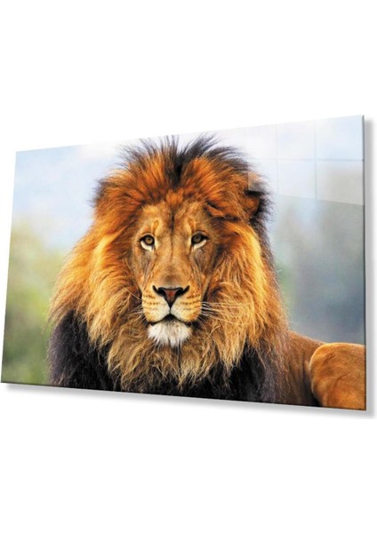 Aslan Cam Tablo 4mm Dayanıklı Temperli Cam