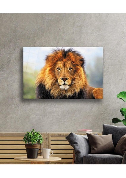 Aslan Cam Tablo 4mm Dayanıklı Temperli Cam fiyatları