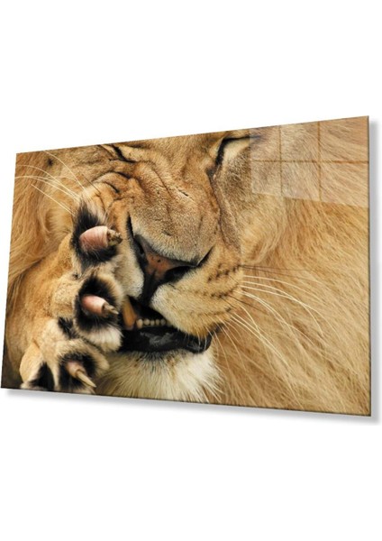 Aslan Cam Tablo 4mm Dayanıklı Temperli Cam