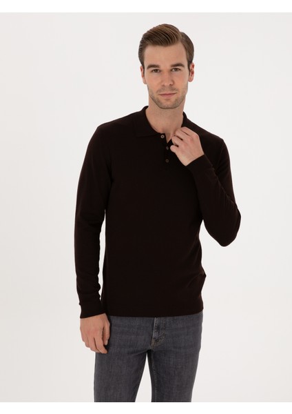 Erkek Kahverengi Regular Fit Pamuk Karışımlı Polo Yaka Basic Triko Kazak 50318673-VR029 modelleri