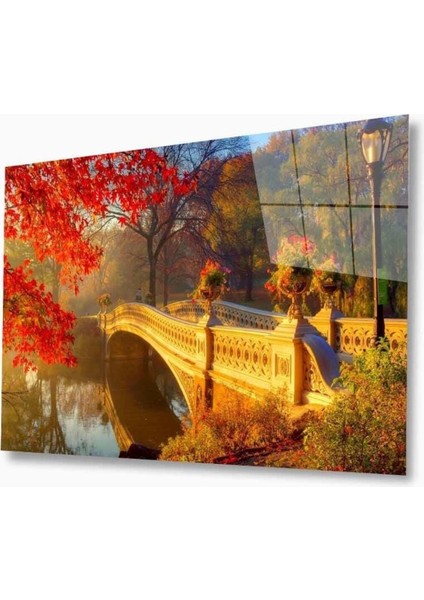 Doğa Cam Tablo 4mm Dayanıklı Temperli Cam