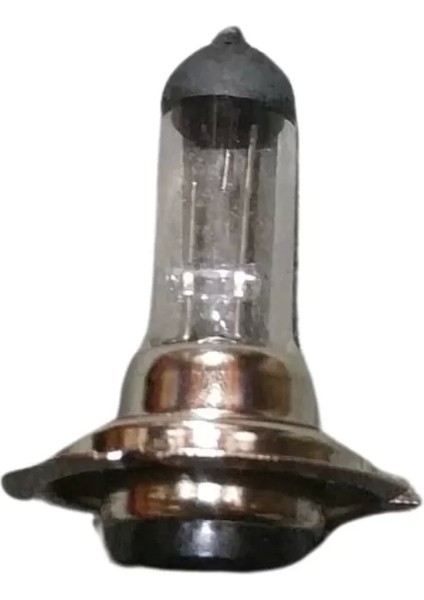Unıversal Uyumlu Ampul H7 Export