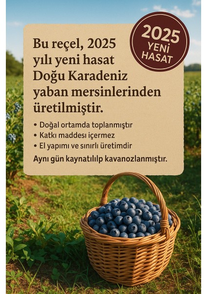 Ev Yapımı Yaban Mersini Reçeli 650G – Katkısız & Geleneksel Üretim modelleri