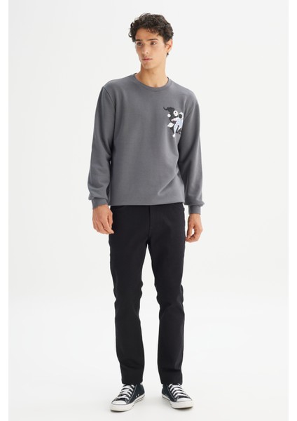 Regular Fit Normal Kesim Bisiklet Yaka Baskılı Antrasit Sweatshirt fiyatları