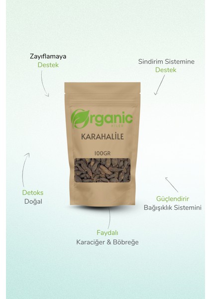 Doğal Karahalile 100 gr (Terminalia Chebula) – Kurutulmuş Bitki – Katkısız ve Elenmiş fiyatları