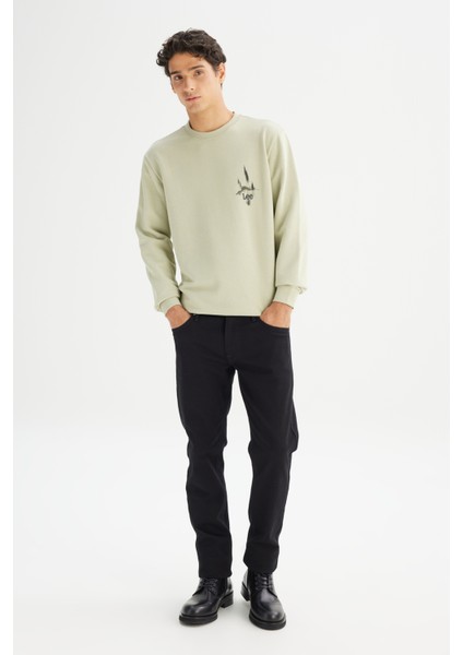 Regular Fit Normal Kesim Bisiklet Yaka Baskılı Mint Yeşili Sweatshirt fiyatları