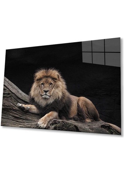 Aslan Cam Tablo