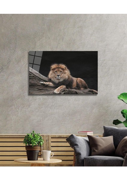 Aslan Cam Tablo fiyatları