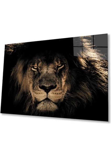 Aslan Cam Tablo