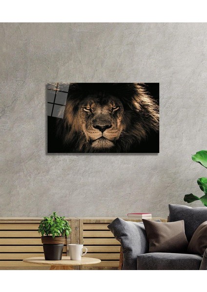 Aslan Cam Tablo fiyatları