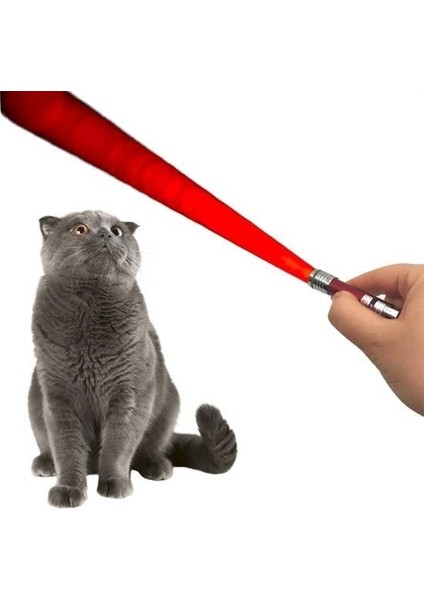 Buffer® 3 Fonksiyonlu Kırmızı Beyaz Işıklı LED Lazer Kedi Köpek Oyuncak Anahtarlık modelleri