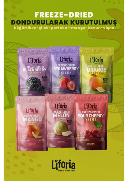 6’lı Dondurulmuş Meyve - Sağlıklı Atıştırmalık - Kavun Vişne Çilek Mango Portakal Böğürtlen