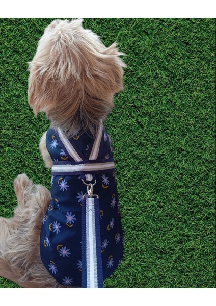 Köpek Yağmurluğu