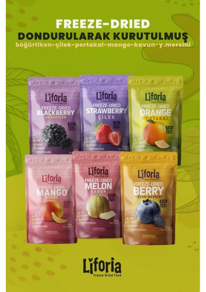 6’lı Dondurulmuş Meyve - Sağlıklı Atıştırmalık - Çilek Kavun Mango Böğürtlen Yaban Mersini Portakal