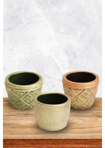 Dekoratif Stilize Motifli Çok Renkli Sukulent Saksı 3'lü Set indirimleri