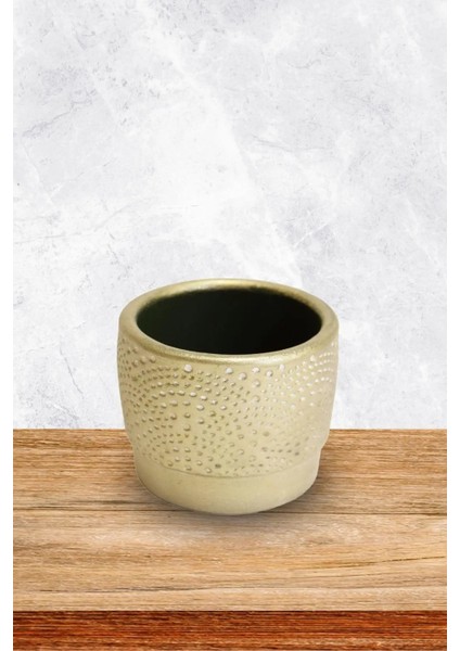 Dekoratif Stilize Motifli Çok Renkli Sukulent Saksı 3'lü Set