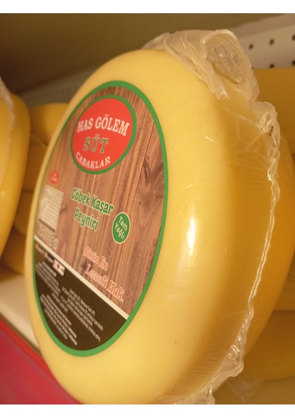 Göbek Kaşar fiyatları
